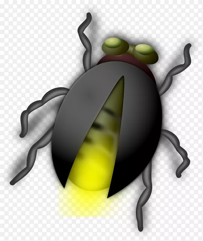 甲虫萤火虫夹艺术.黑色萤火虫