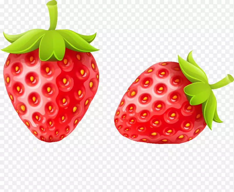 草莓果蒂和波斯科成熟砧木插图-两颗可爱的草莓