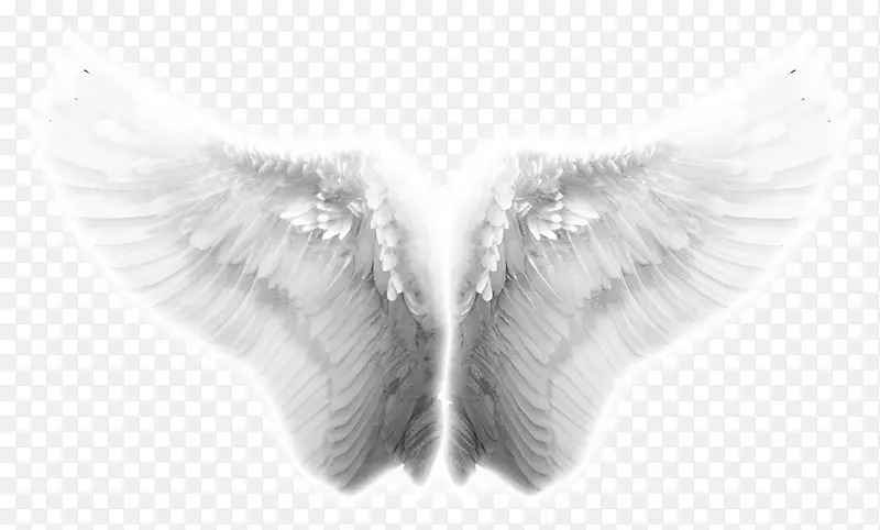 天使翅膀图标-翅膀，天使翅膀，淘宝创意翅膀效果
