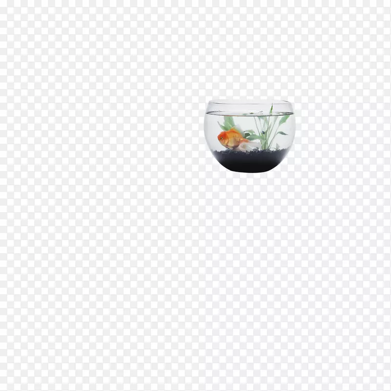 养鱼水族馆-鱼缸