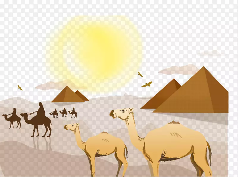 撒哈拉沙漠剪贴画-沙漠