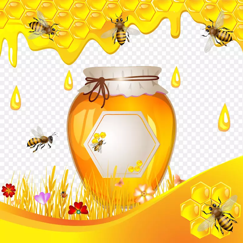 蜜蜂蜂巢-蜂蜜罐