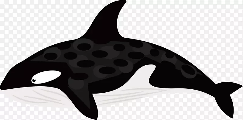 海豚黑白鲸鱼-黑鲸和白鲸载体