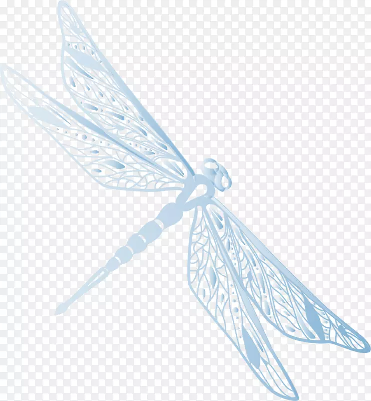 蜻蜓-绘制蜻蜓