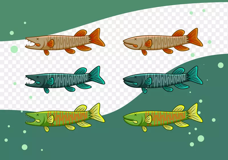 海洋生物学鱼类动物插图-鱼类收集