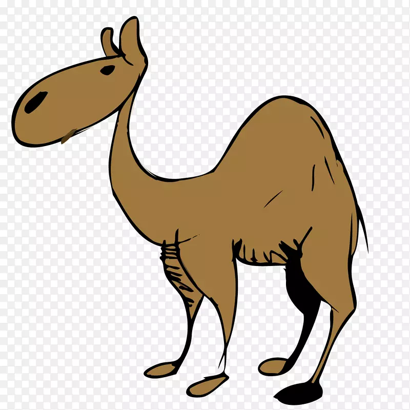 沙漠剪贴画-骆驼卡通