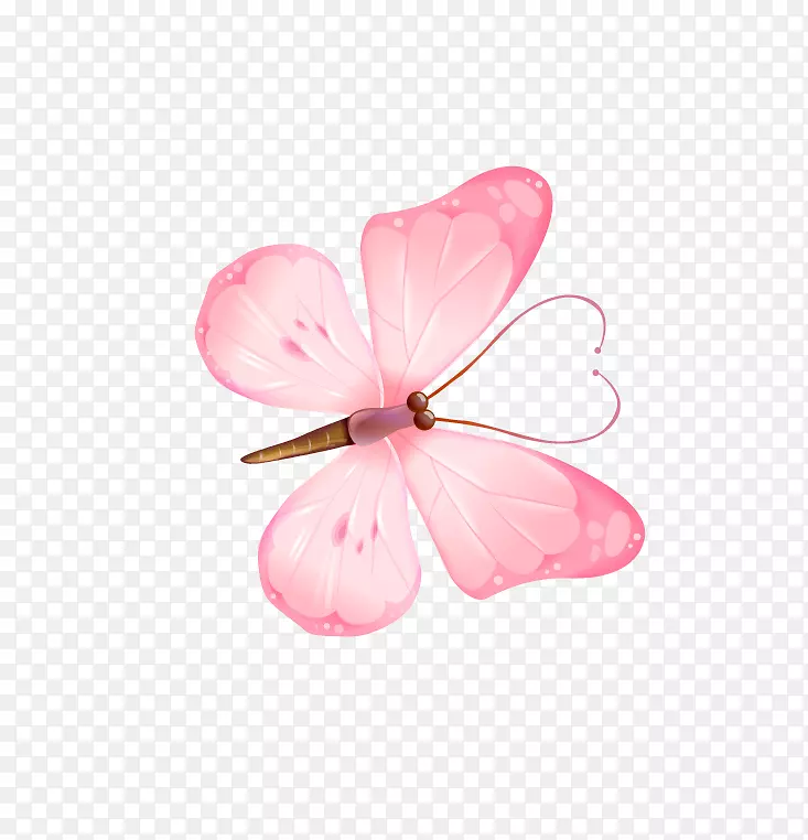 蝴蝶下载图标-粉红色蝴蝶