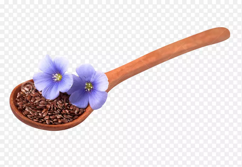 亚麻籽勺-一匙亚麻籽和花卉图片材料