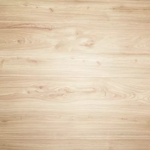 木质地板染色漆硬木.浅色木材纹理背景