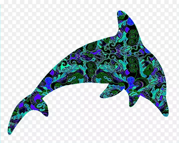 海豚艺术海洋生物剪贴画