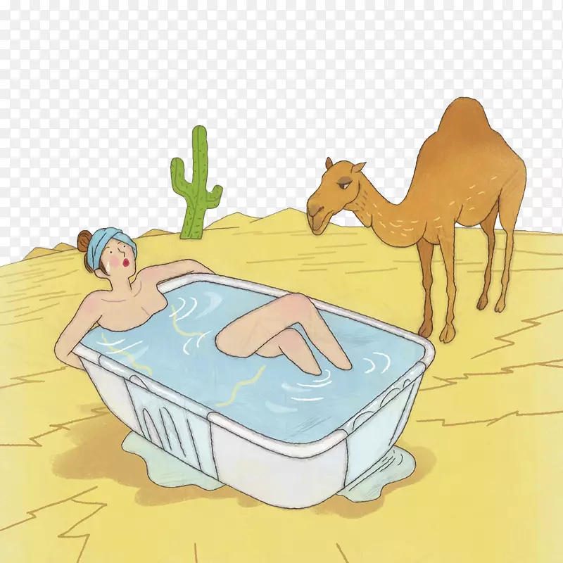 流淌的插图-骆驼看人洗澡
