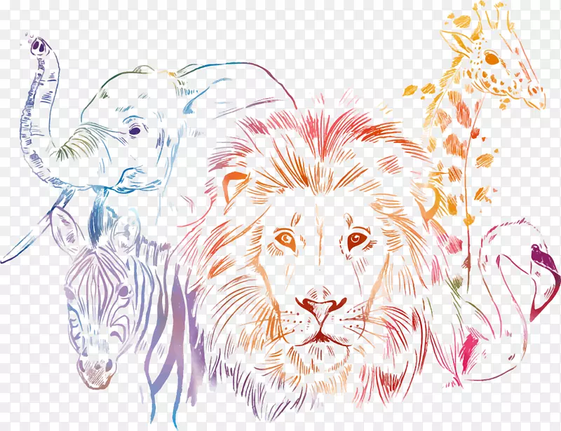非洲虎中东插图-非洲动物