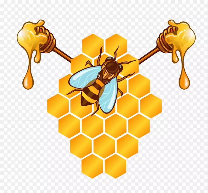 蜜蜂蜂巢-蜜蜂蜂蜜材料