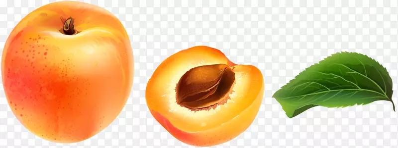 杏仁亚美尼亚食物李子大杏