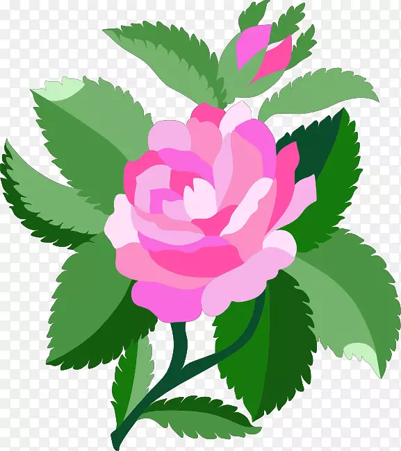 金丝雀玫瑰剪贴画-婴儿玫瑰剪贴画