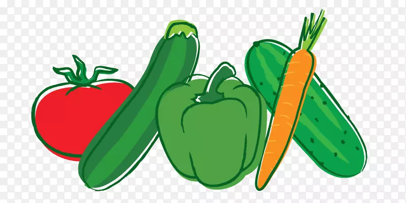 有机食品蔬菜汉堡蔬菜种子剪贴画-泡菜图片