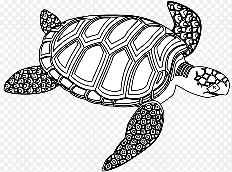 海龟黑白画片艺术-绿海龟剪贴画