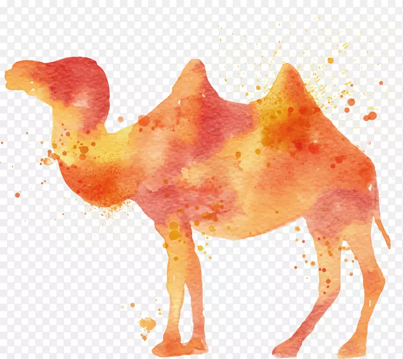 骆驼水彩画插图骆驼