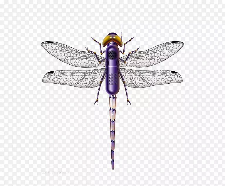 蜻蜓昆虫紫色-不一样的材料图片蜻蜓