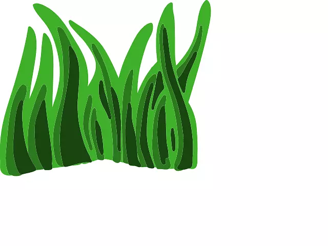 海藻动画剪辑艺术-瘤胃动画