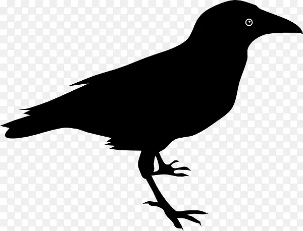 普通乌鸦巴尔的摩乌鸦免费内容剪辑艺术护卫舰鸟纹身