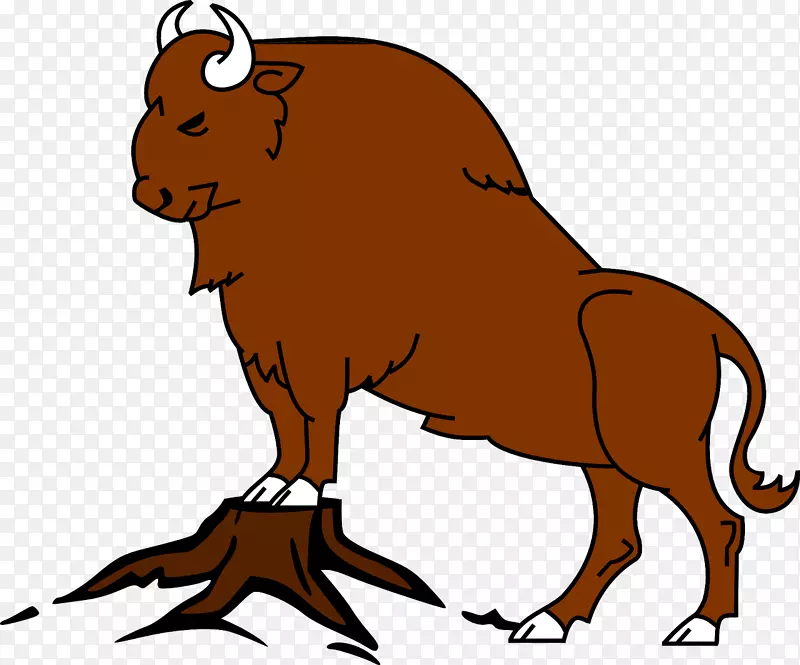 家牦牛，美洲野牛，水牛-凶猛的棕色公牛