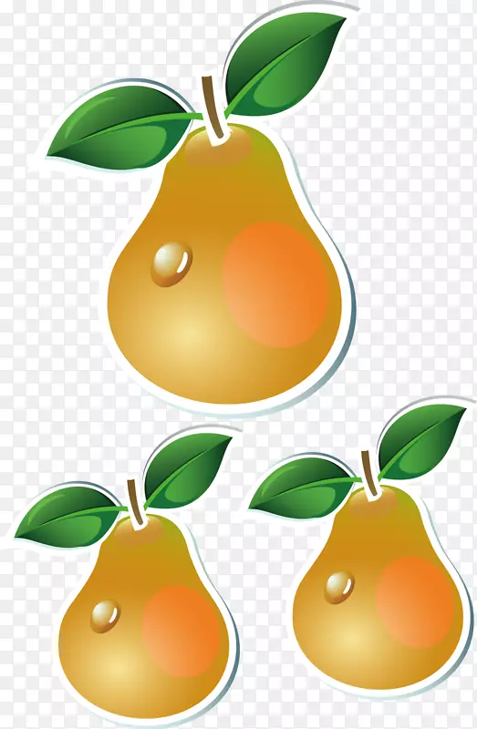 苹果梨橙剪贴画-梨载体