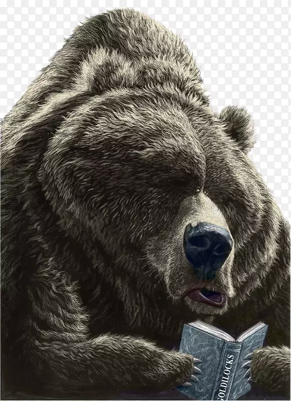 棕熊，你看到什么了？读书绘图插图-棕熊