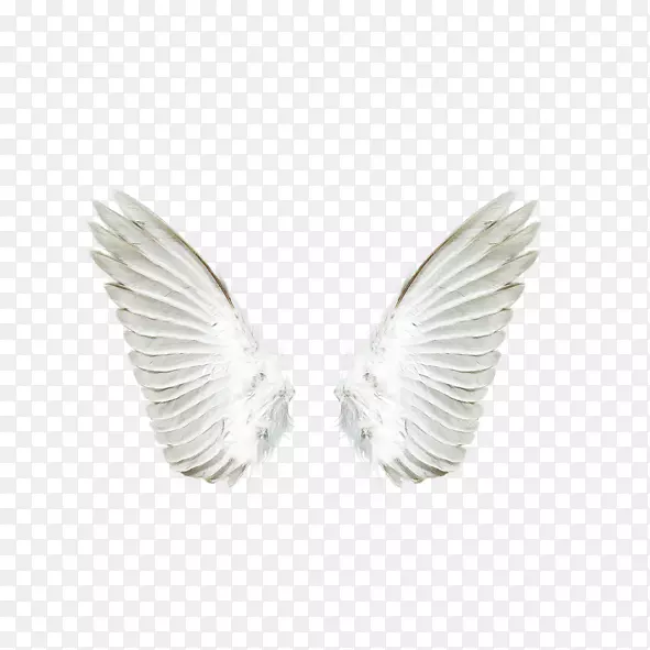 天使下载-白色天使翅膀
