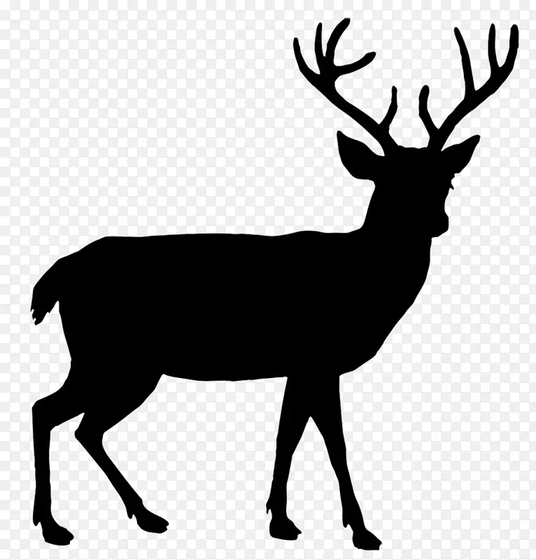 白尾鹿、驯鹿、马鹿、麋鹿-驯鹿剪影
