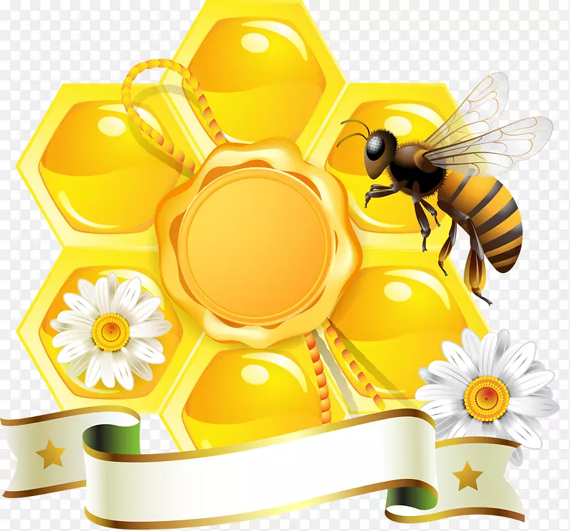 蜂巢-黄色蜂蜜