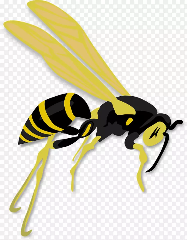 大黄蜂剪贴画-忙碌的蜜蜂
