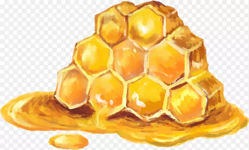 蜜蜂多101nuka蜂蜜曼纽卡-蜜蜂装饰元素