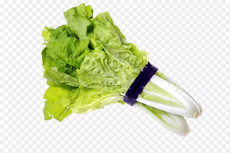 莴苣素菜-水白菜形象