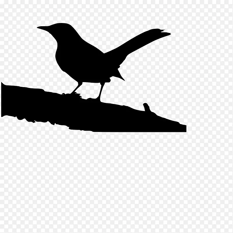 为了杀死一只知更鸟，阿提克斯·芬奇，让·路易丝，球探芬奇，杰姆·芬奇-一支树枝的图片