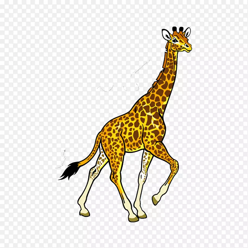 非洲动物宝宝丛林动物夹艺术长颈鹿