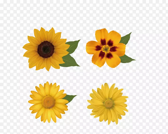 花卉设计-免费剪贴画-向日葵