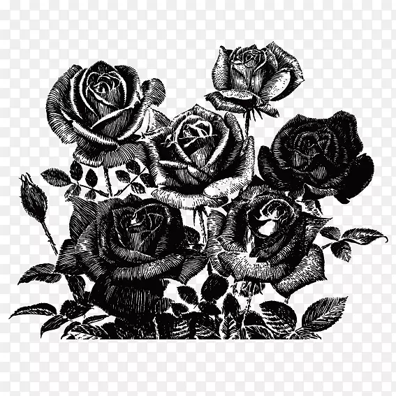 玫瑰剪贴画-黑色玫瑰