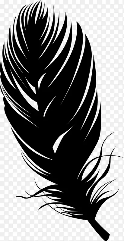鸟类羽毛轮廓-黑色羽毛笔