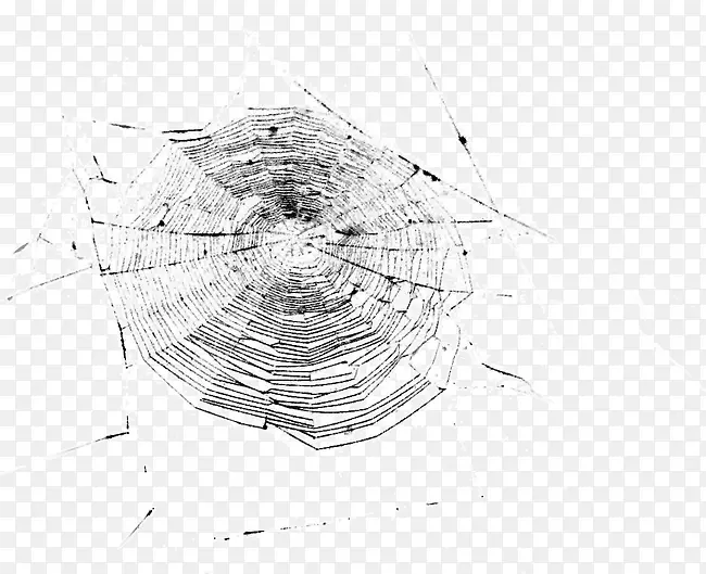 蜘蛛网光摄影图案-黑白蜘蛛网蜘蛛