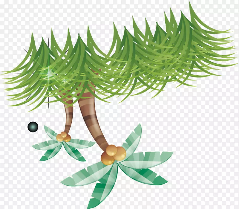 椰子插图-椰子树背景材料