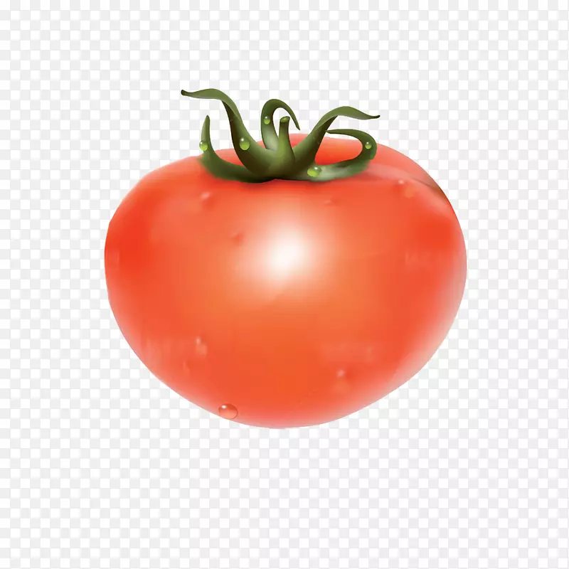 果汁披萨番茄蔬菜卡通番茄蔬菜