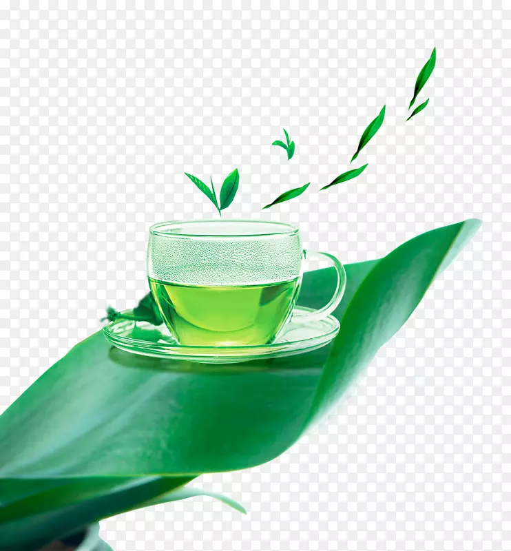 绿茶白茶杯绿茶