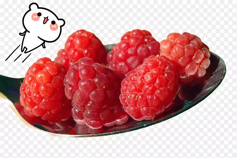 覆盆子酮水果甜度-覆盆子，水果