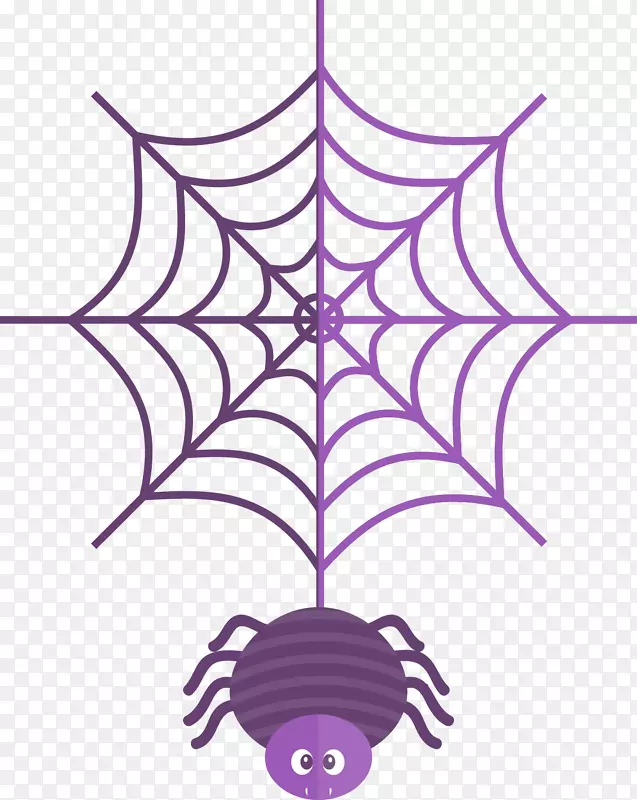 蜘蛛网绘图插图.紫色蜘蛛网
