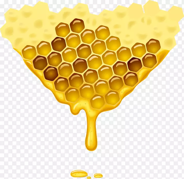 蜜蜂蜂巢图-蜜蜂