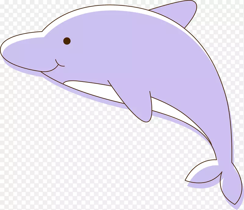 图库溪普通宽吻海豚-媒介海豚