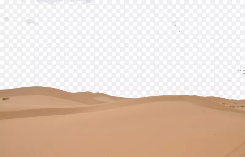 沙化沙漠