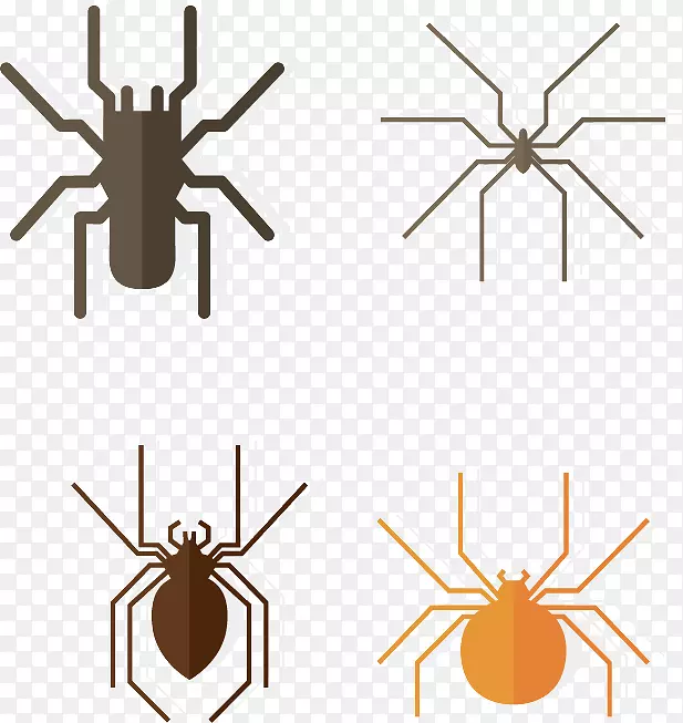 蜘蛛南方黑寡妇，赤纹夜蛾，蓝尾瓢虫，-蜘蛛组合图