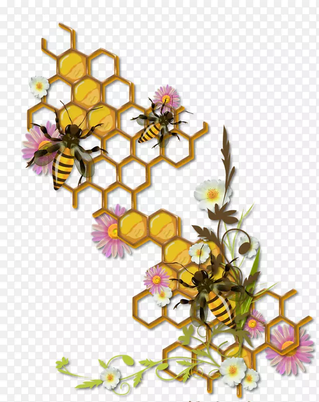 蜂巢昆虫蜜蜂大黄蜂手绘蜂蜜